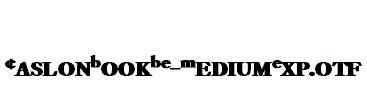 CaslonBookBE-MediumExp