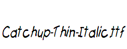 Catchup-Thin-Italic