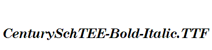 CenturySchTEE-Bold-Italic