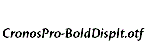 CronosPro-BoldDispIt