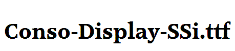 Conso-Display-SSi