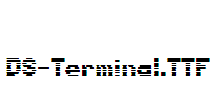 DS-Terminal