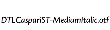 DTLCaspariST-MediumItalic