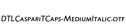 DTLCaspariTCaps-MediumItalic