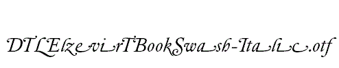 DTLElzevirTBookSwash-Italic