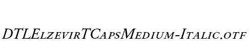 DTLElzevirTCapsMedium-Italic