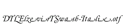 DTLElzevirTSwash-Italic