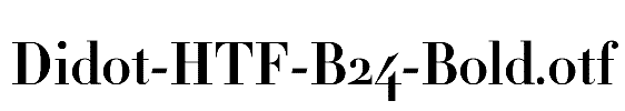 Didot-HTF-B24-Bold