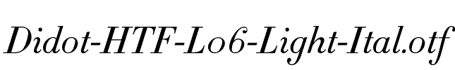 Didot-HTF-L06-Light-Ital