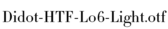Didot-HTF-L06-Light