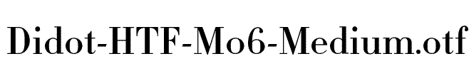 Didot-HTF-M06-Medium