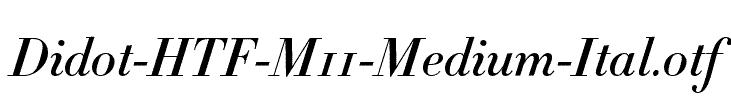 Didot-HTF-M11-Medium-Ital