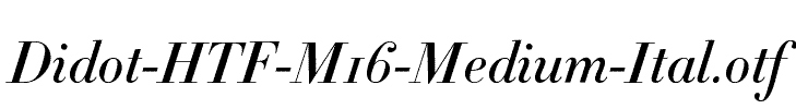 Didot-HTF-M16-Medium-Ital