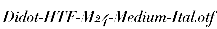 Didot-HTF-M24-Medium-Ital
