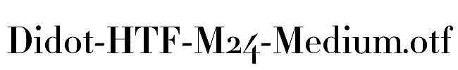 Didot-HTF-M24-Medium