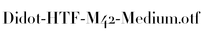 Didot-HTF-M42-Medium