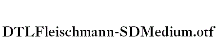 DTLFleischmann-SDMedium