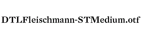 DTLFleischmann-STMedium