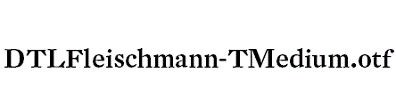 DTLFleischmann-TMedium