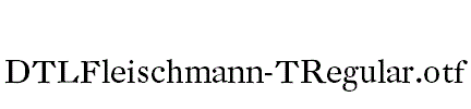 DTLFleischmann-TRegular