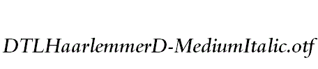 DTLHaarlemmerD-MediumItalic