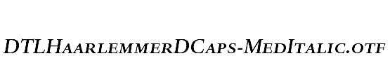 DTLHaarlemmerDCaps-MedItalic