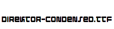 Direktor-Condensed