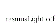 ErasmusLight