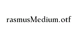 ErasmusMedium