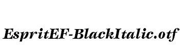 EspritEF-BlackItalic