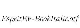 EspritEF-BookItalic