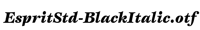 EspritStd-BlackItalic