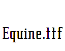 Equine