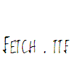 Fetch