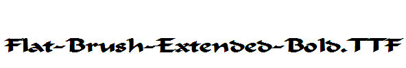 Flat-Brush-Extended-Bold