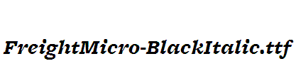 FreightMicro-BlackItalic