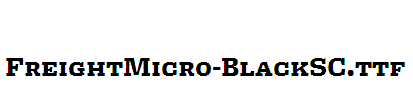 FreightMicro-BlackSC