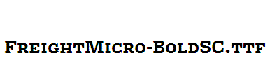 FreightMicro-BoldSC