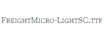 FreightMicro-LightSC