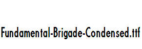 Fundamental-Brigade-Condensed