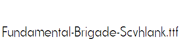 Fundamental-Brigade-Scvhlank