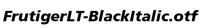 FrutigerLT-BlackItalic