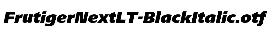 FrutigerNextLT-BlackItalic