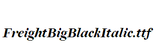 FreightBigBlackItalic