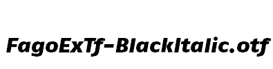 FagoExTf-BlackItalic