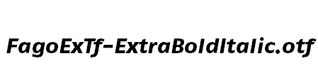 FagoExTf-ExtraBoldItalic