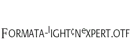 Formata-LightCnExpert