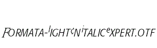 Formata-LightCnItalicExpert