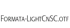 Formata-LightCnSC