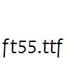 ft55